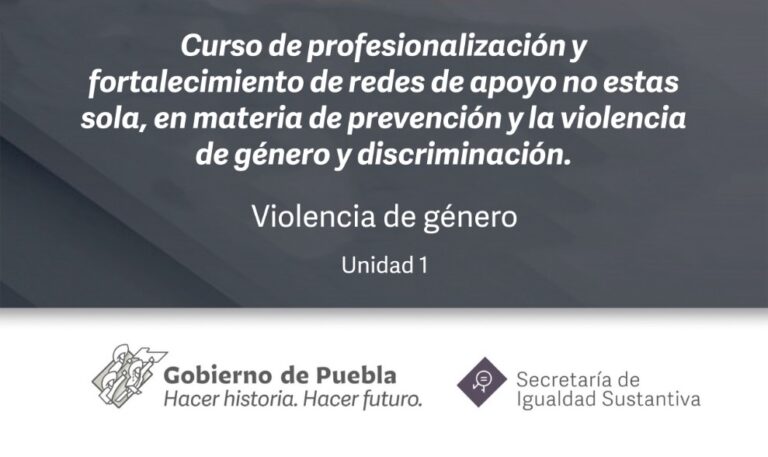 Desarrollo de contenidos académicos virtuales en materia de Prevención de la Violencia de Género y Discriminación para la profesionalización y fortalecimiento de las Redes de apoyo No estás Sola.