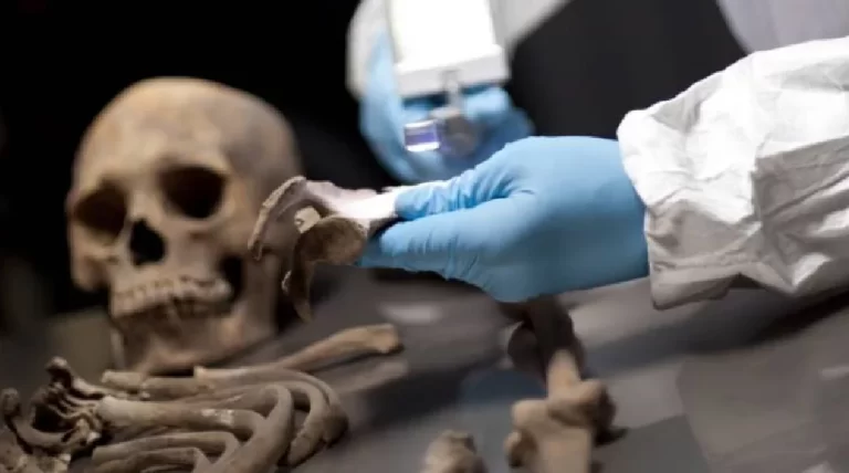 Curso Identificación Forense.