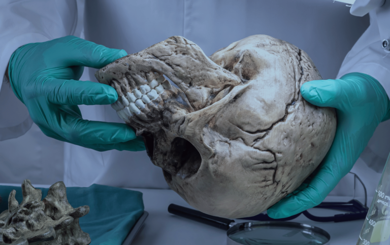 Curso Odontología Forense.